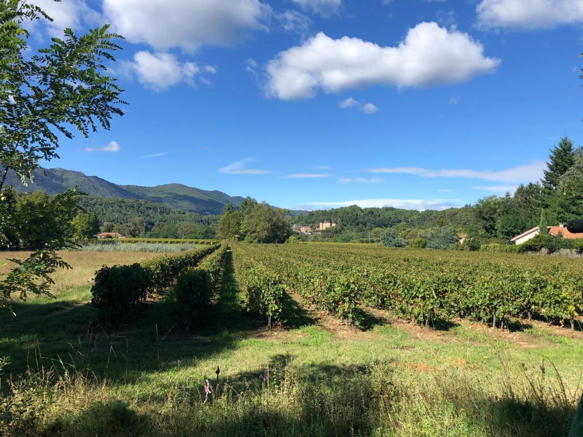 Terres De France - Le Domaine Des Vans Chambonas ภายนอก รูปภาพ