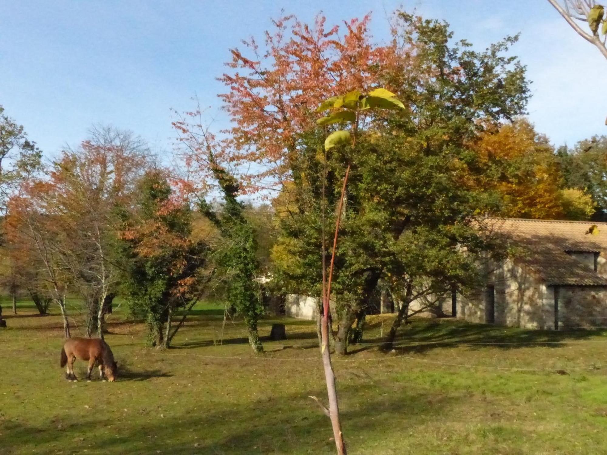Terres De France - Le Domaine Des Vans Chambonas ภายนอก รูปภาพ