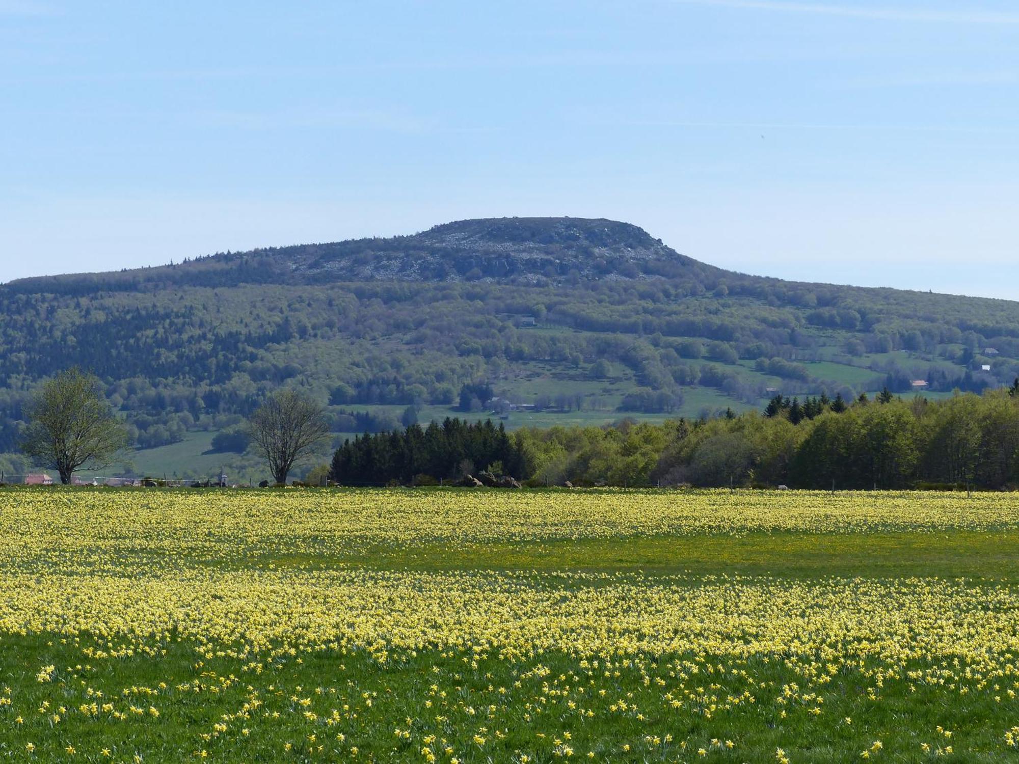 Terres De France - Le Domaine Des Vans Chambonas ภายนอก รูปภาพ
